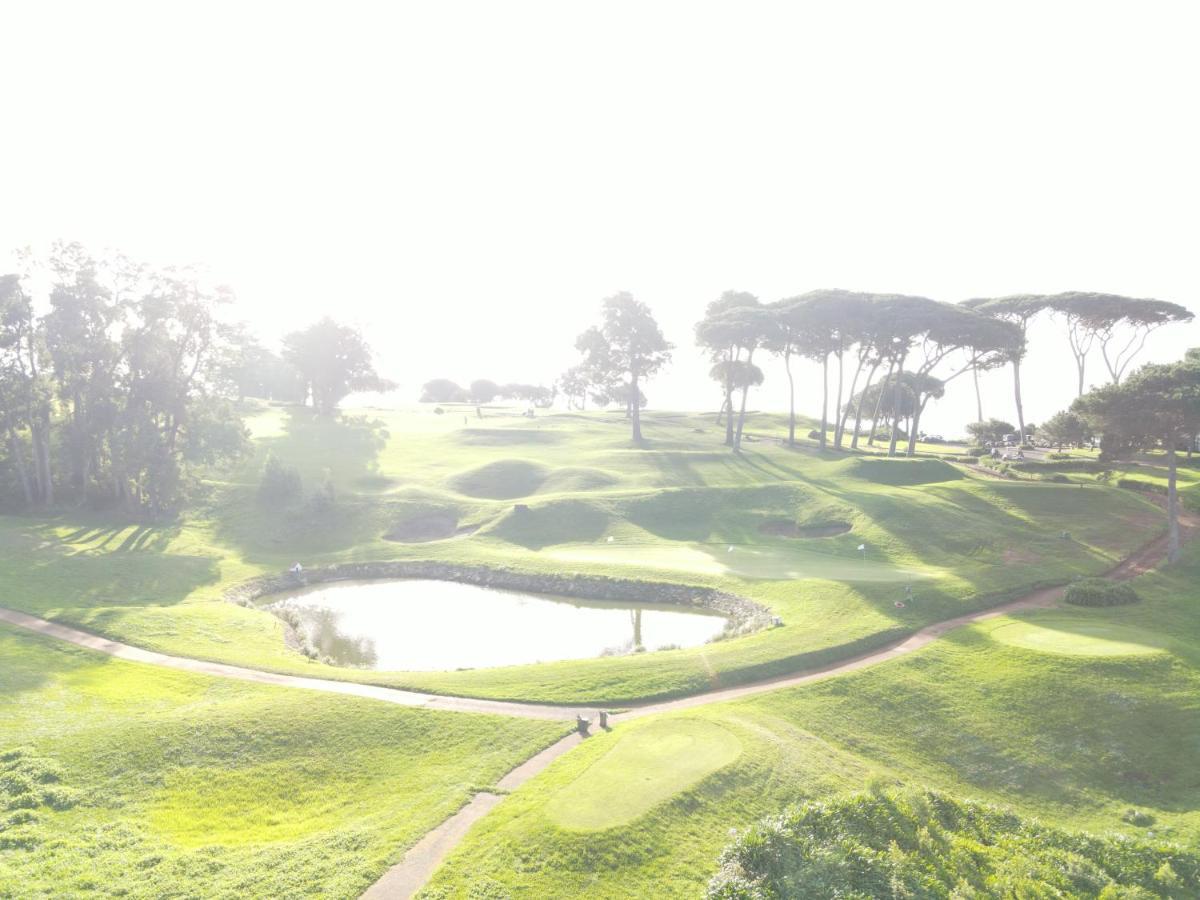 Sea And Sun 4 You - Jardins Da Imperatriz Funchal  Zewnętrze zdjęcie